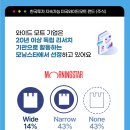 와이드모트