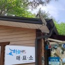 양양여행, 가볼만한 곳 양양 레포밸리 하늘나르기 체험 후기