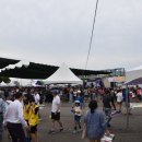 남양도호부 선정비 이미지