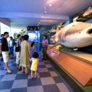 땅끝해양 자연사박물관 이미지