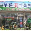 정직한꽃집