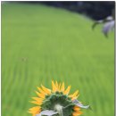 방곡마을 이미지