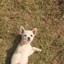 흙내음한옥펜션 이미지