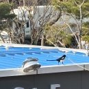 창원어린이집 이미지