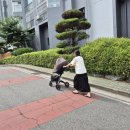 토복패밀리