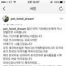 배우 최여진 어머니의 기보배 선수 욕설 논란 이미지