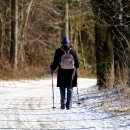 지인행정사여행사 이미지