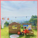 비행기나무 | 강화도 비행기나무 방문 후기 자연 속 독채 펜션