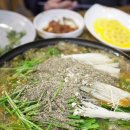 큰손생오리흑염소