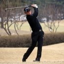 테마골프 이미지