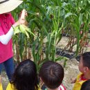 농업테마파크 공원 이미지