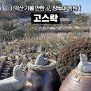 장독대 | 익산가볼만한곳 고스락 장독대 정원 산책 후기