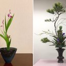 고금관광안내소 이미지