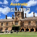 호주 시드니 여행 ㅣ 가볼만한 곳 시드니 대학교 포토스팟 추천 굿즈샵 위치 및 구매후기