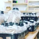 시영농장 이미지