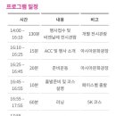 빛의 숲을 뛰자 ACC CITY RUN 이미지