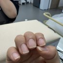 에땅 | 건대 가성비갑네일 네일에땅 가을네일 후기