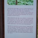 다산1리 이미지