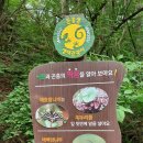 뜬봉샘생태공원 이미지