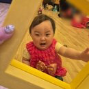 한학 | 안산 롯데백화점 문화센터 2025 봄학기 - 촉감놀이 베이비붐(9-15개월) 후기