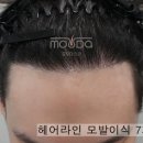 모우헤어
