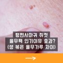 싸리재농장 | 평편사마귀 쥐젖 율무팩 인기이유 효과? (생율무가로 볶은율무가루 차이)