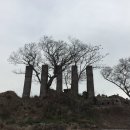 제주 이교동 일제군사시설 이미지