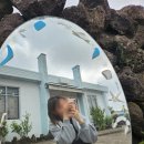유수암레몬하우스 | [제주] 제주도 게스트하우스 스태프로 두 달 살기 9주차. 게하 스탭 끝! 정산 및 후기