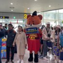 무안국제공항 ‘무사증’ 연장으로 외국인관광객 유치 날개 이미지