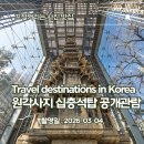 공공용 99 | 27년 만에 '원각사지 십층석탑 공개관람' 후기