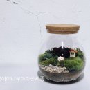 직장인 힐링 원예치료 이미지