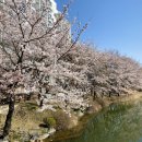 안흥유원지 이미지