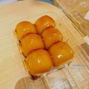 노벨티투어주 | 10월 도쿄여행 3박 4일 준비 중! 날씨 좋았으면 + 마이리얼트립 할인코드