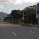 버스정류소_제주도청 신제주로터리 이미지