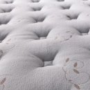 금성파크 이미지