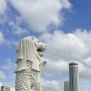 (주)인천교통 | 임산부 항공 혜택 총정리 | 대한항공 우선 좌석, 체크인부터 인천공항 교통약자 라운지까지