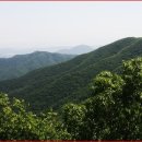 청양시내버스터미널 이미지