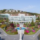 신성대학교