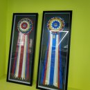 명문애견 이미지