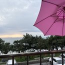 대천산호횟집 이미지