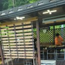 숲속의맑은향기 이미지