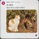 영대중목욕탕 | 바라는대로