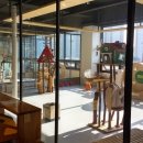 고양이카페38.5 이미지