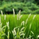 형성팜 | 베스트팜 수익 흐름이 확실한 투자 후기