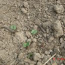 산골쉼터 이미지