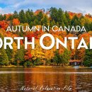 Autumn in Ontario, Canada 4K UHD - Relaxing music Along With Beautiful Natu 이미지