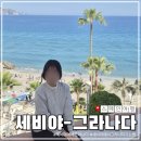 네르하 | 세비야에서 그라나다 가는 법 내돈내산 버스투어 후기(론다-프리힐리아나-네르하)