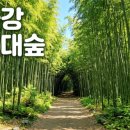 태화십리대숲먹거리단지 이미지