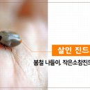 365동물병원 분당점 이미지