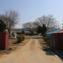 강천초 단암분교 이미지